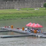 dragon14