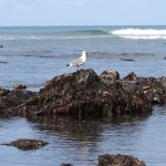 IMG_2238